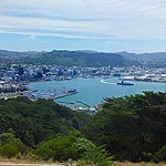 DSCF4918