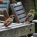 DSCF4986