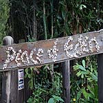 DSC04816.JPG