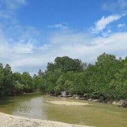 23-cagbalete-14