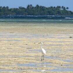 23-cagbalete-15