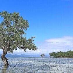 23-cagbalete-17