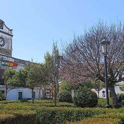 23_tarifa-07
