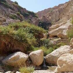 Wadi David