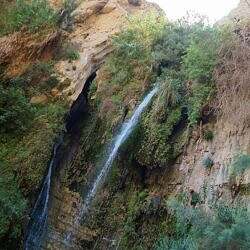 Wadi David
