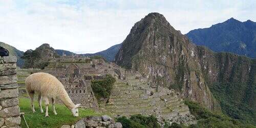 Machu Picchu Inca Jungle Trail