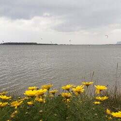 IMG-20220319-WA0001