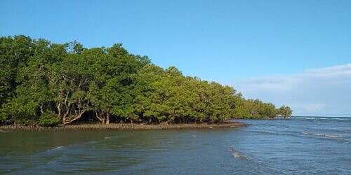 Odiongan, Tablas