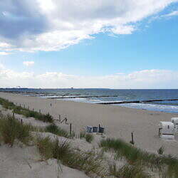 IMG_20200823_134438481