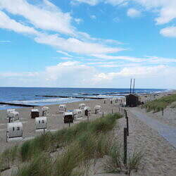 IMG_20200823_134448817