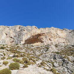 IMG_20210723_174313916