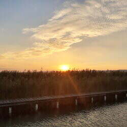 IMG_20211002_181156931_HDR
