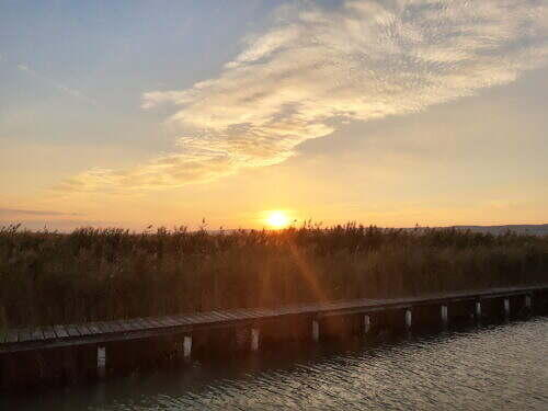 Breitenbrunn / Neusiedler See
