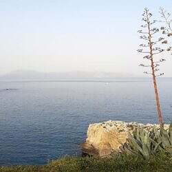 IMG_20220318_073439523