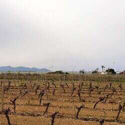 IMG_20220326_144318205