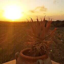 IMG_20220331_191928436