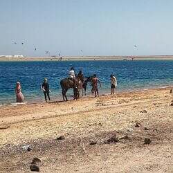 alltag-dahab-03
