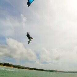 cuyo-kite-04