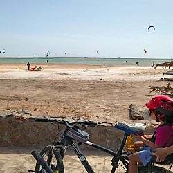 dahab-family-01