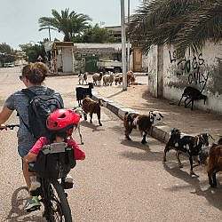 dahab-family-02