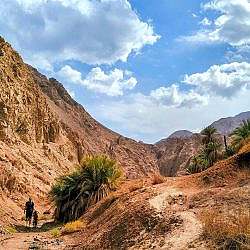 dahab-family-04