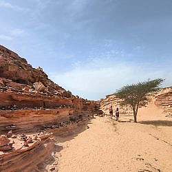 dahab-family-05
