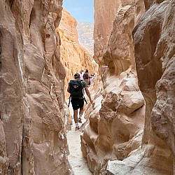 dahab-family-06