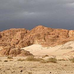 dahab-family-07