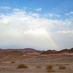 dahab-family-09
