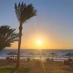 dahab07