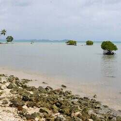 island-hopping-port-barton
