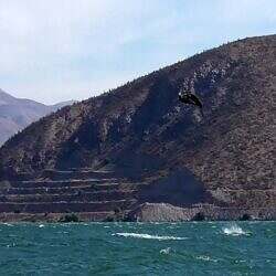 kite4