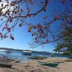 mindoro09