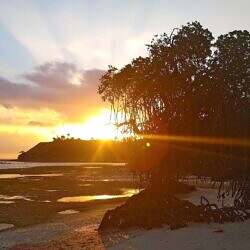mindoro18