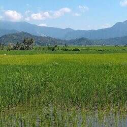 pagudpud06
