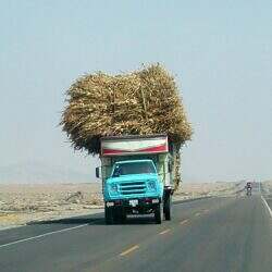 panamericana