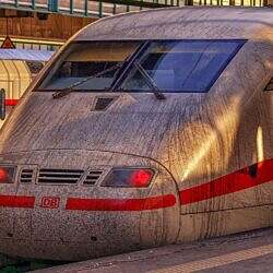 quo-vaids-germania-02