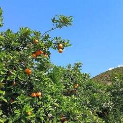 roadtrip-kreta-02b