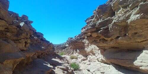 Die Sterne über der Wüste Sinai