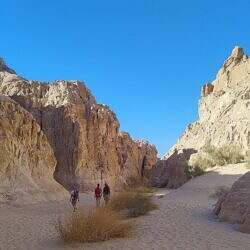 sinai-05