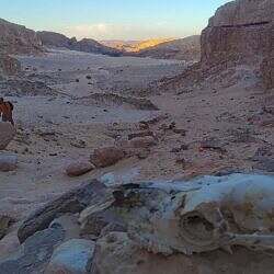 sinai-07